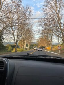 Paisagem da Rota Romântica (RS-235) durante a viagem de carro para Gramado, na Serra Gaúcha.