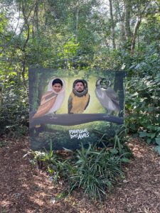 Pai e filho posando na placa interativa do Parque das Aves, colocando os rostos no espaço do desenho de pássaros.
