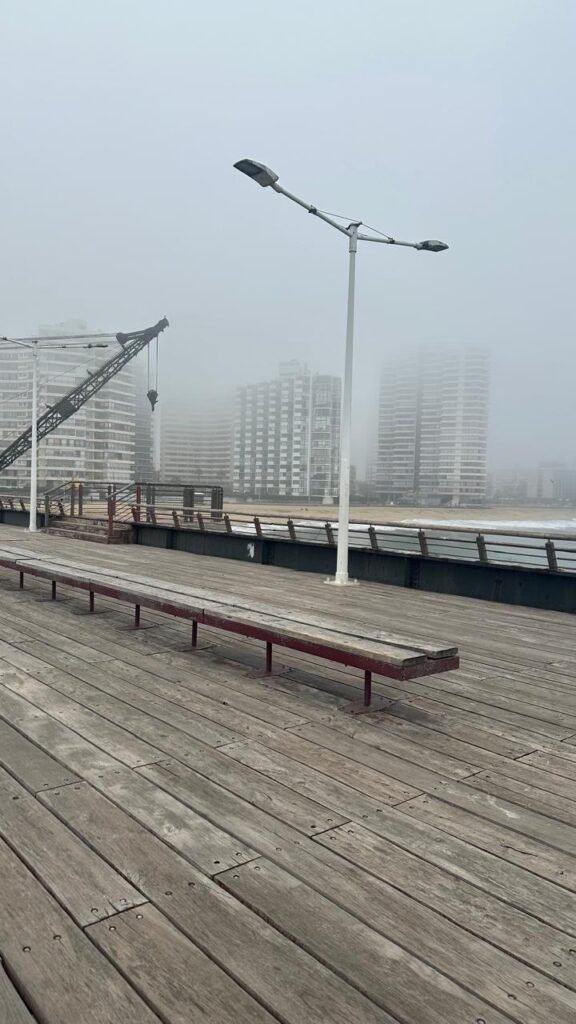 12 passeios gratuitos no Chile 8 Vista da praia de Viña del Mar em um dia nublado, um dos passeios gratuitos no Chile mais procurados por brasileiros.