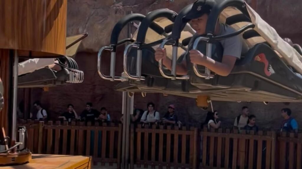 Melhores roteiros de viagem no Brasil para famílias com crianças autistas: Hopi Hari