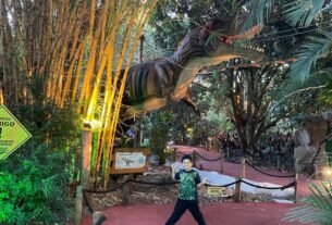 Lucas no Vale dos Dinossauros Foz do Iguaçu durante passeio em família