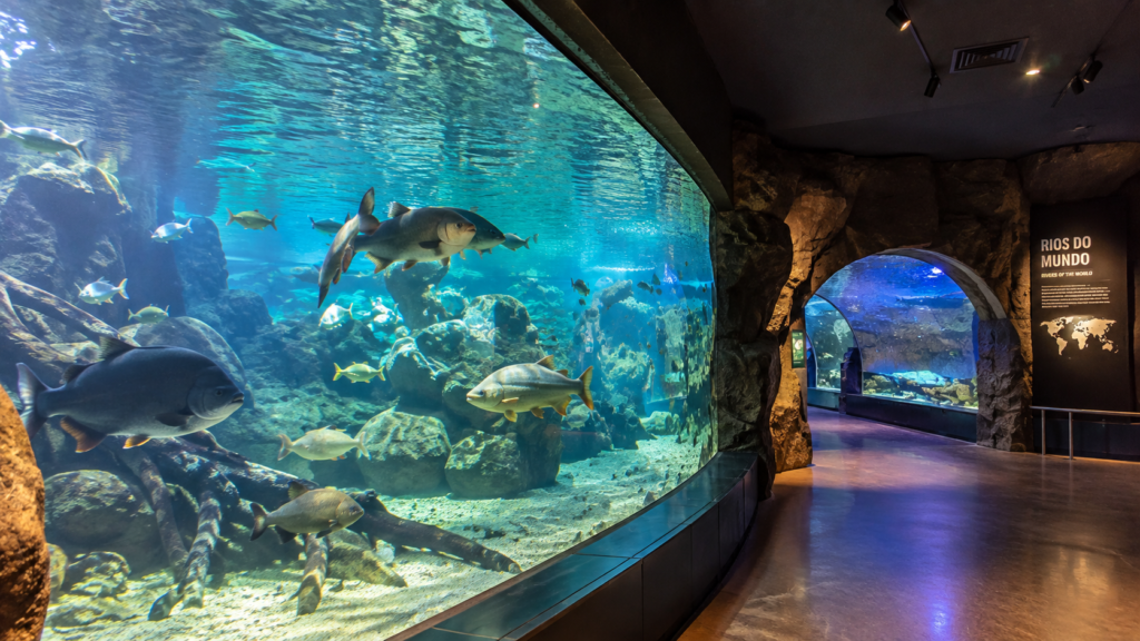 Interior do AquaFoz em Foz do Iguaçu com aquários e peixes