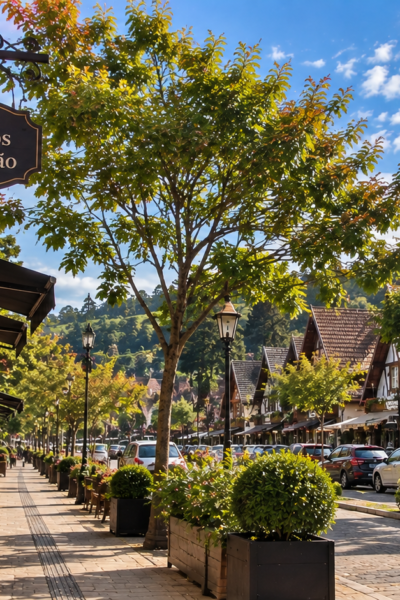 Rua de Campos do Jordão no verão com arquitetura em estilo alpino, flores e céu azul