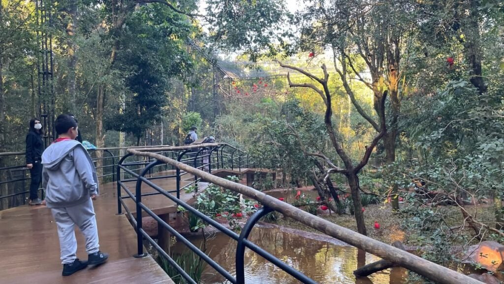 Parque das Aves: preço, horário e vale a pena? 3 Criança caminhando pela trilha arborizada do Parque das Aves em Foz do Iguaçu