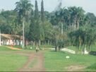 Vista da área externa do Acampark em Charqueada, com gramado, palmeiras e construções.