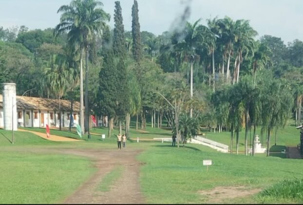 Vista da área externa do Acampark em Charqueada, com gramado, palmeiras e construções.