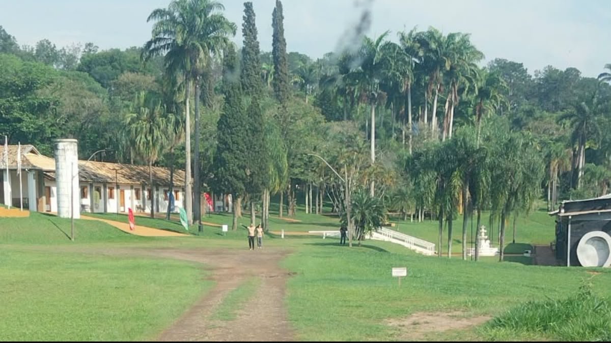 Vista da área externa do Acampark em Charqueada, com gramado, palmeiras e construções.