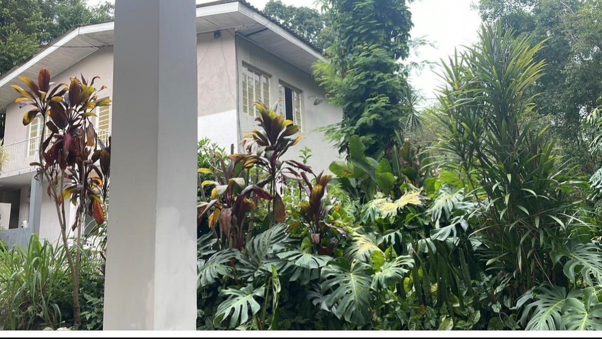 Onde ficar em Curitiba: 4 hospedagens que já testamos 1 Fachada de uma construção clara cercada por plantas tropicais no Hotel Curitiba Campo Comprido.