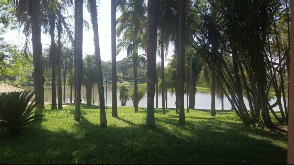 Lago cercado por palmeiras e vegetação na área verde do Acampark em Charqueada.