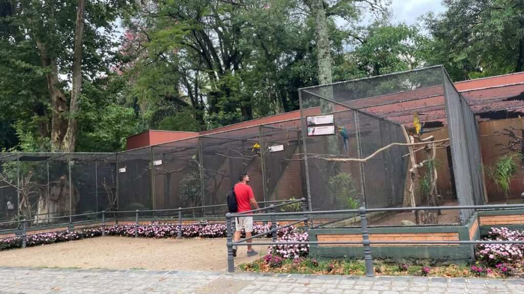 12 passeios gratuitos em Curitiba que valem a pena 5 Passeio Público de Curitiba durante caminhada em família